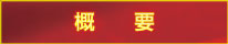 概要